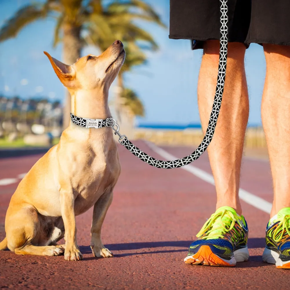 Active Leash