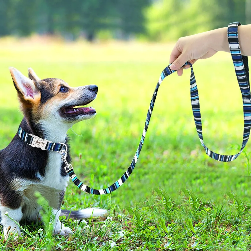 Active Leash