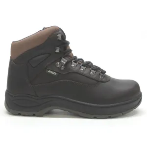 Aigle Picardie Leather Men's Ankle Hiking Boots