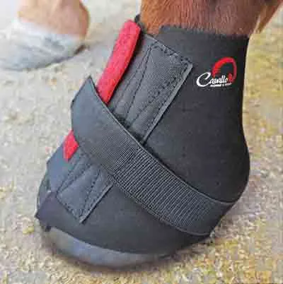 Cavallo Pastern Wrap