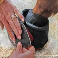 Cavallo Pastern Wrap