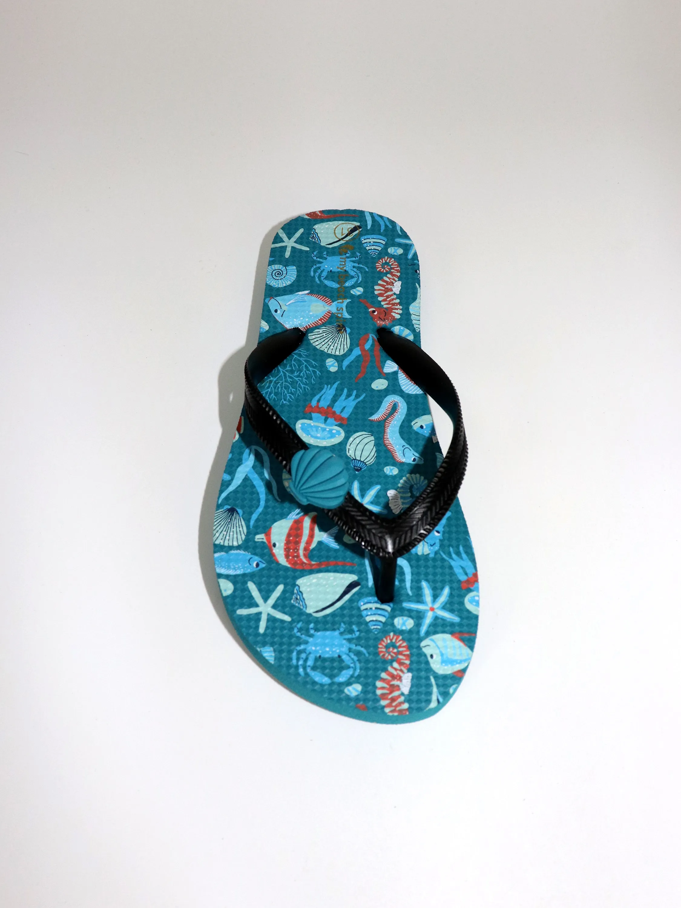 Sea beach slipper